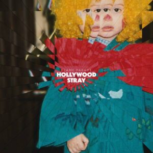 Hollywood Stray